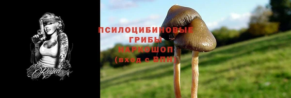 mdpv Балахна
