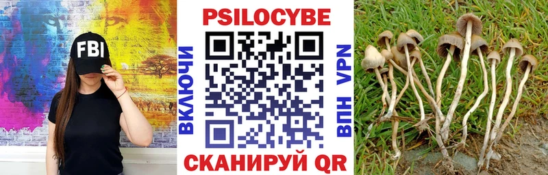 Псилоцибиновые грибы мицелий Плавск